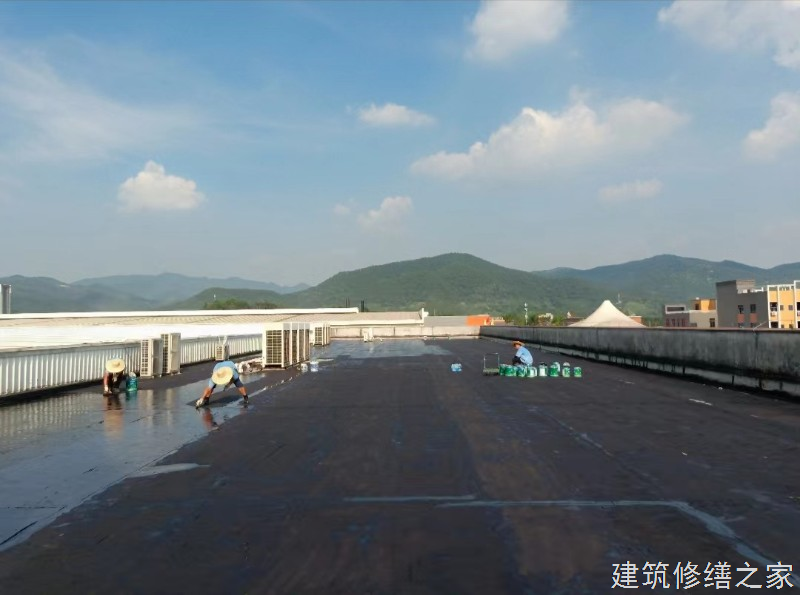 宁波2026江东区 彩钢瓦屋面防水 价格是多少