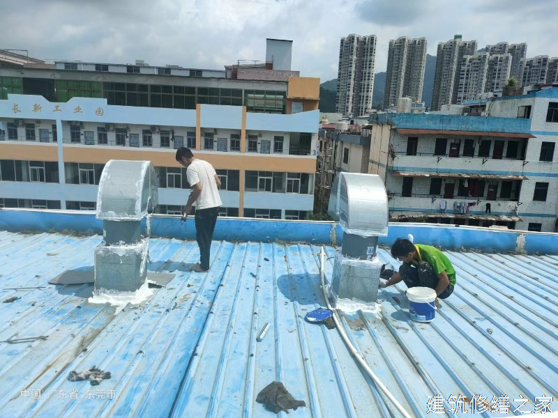 宁波2026奉化市 屋面防水 本地正规资质商家